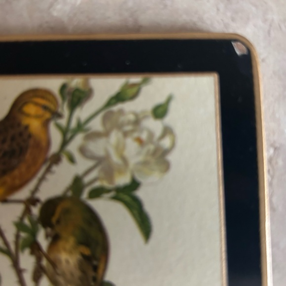 Vintage Bird Illustration Coasters Set of 6 - Picture 2 of 4